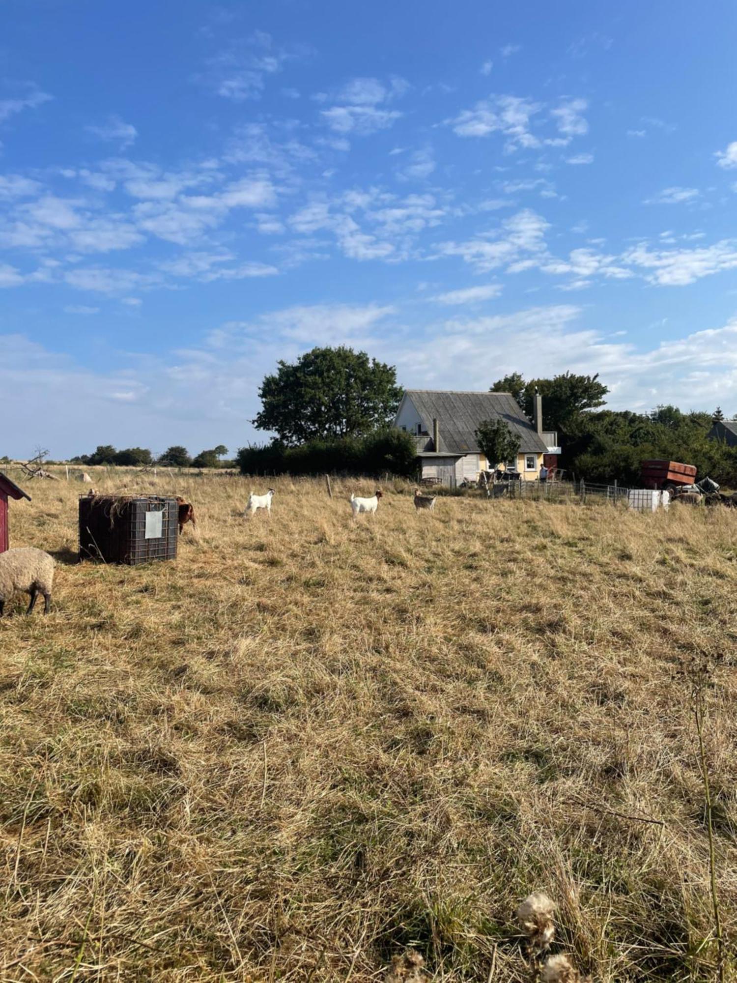 Oestermark Ærøskøbing Eksteriør bilde